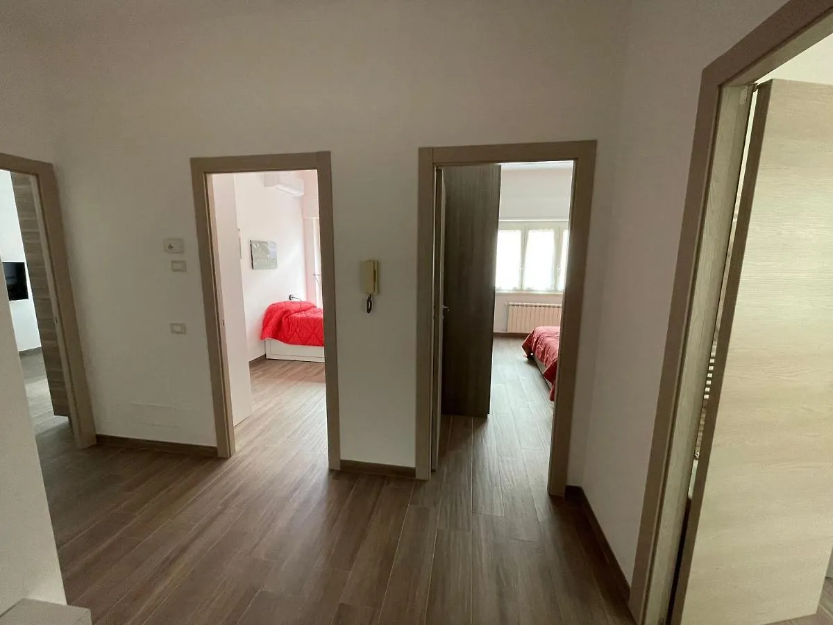 Comfort A Cinque Fermate Dal Centro contacts